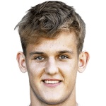 D. Tomic