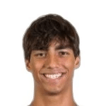 Martín Krug