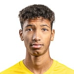 Kobi Bajc