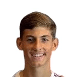 Leonardo Nannetti